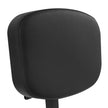Double Panel Tattoo Arm Rest Adjustable Chair
